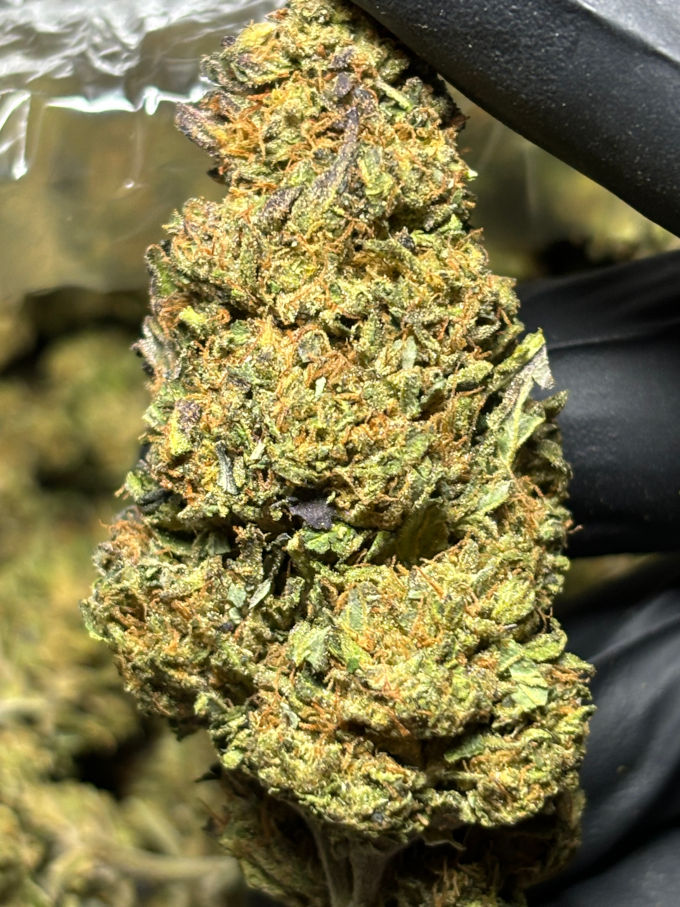 modified grapes 1g nug