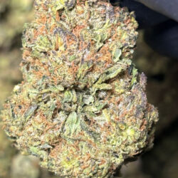 Platinum Kush THCA Flower Indica Dominant(Hybrid)