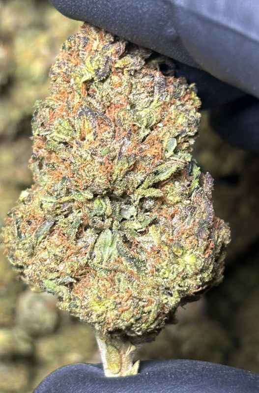 Platinum Kush 1g