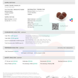 Buy Anytime Gummies 25mg 5mg THC, 20mg CBD (10pack)