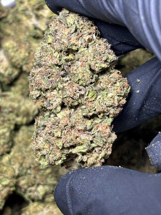Violet fog 1g buy now