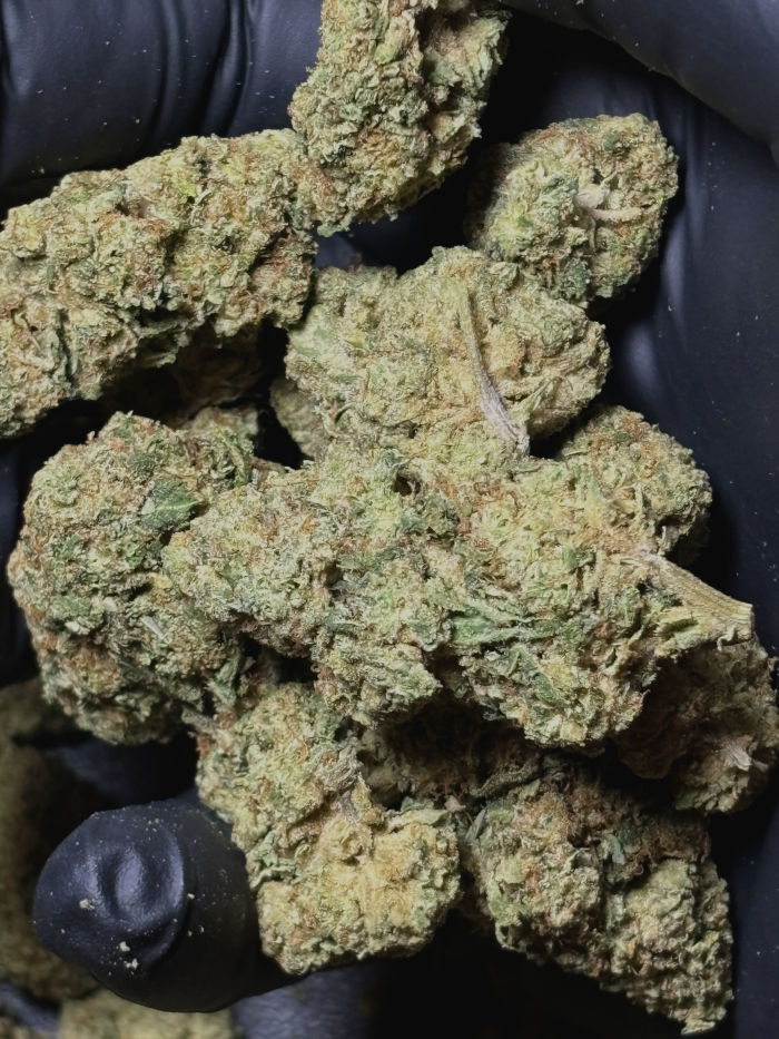 juicy fruit 7g bunch