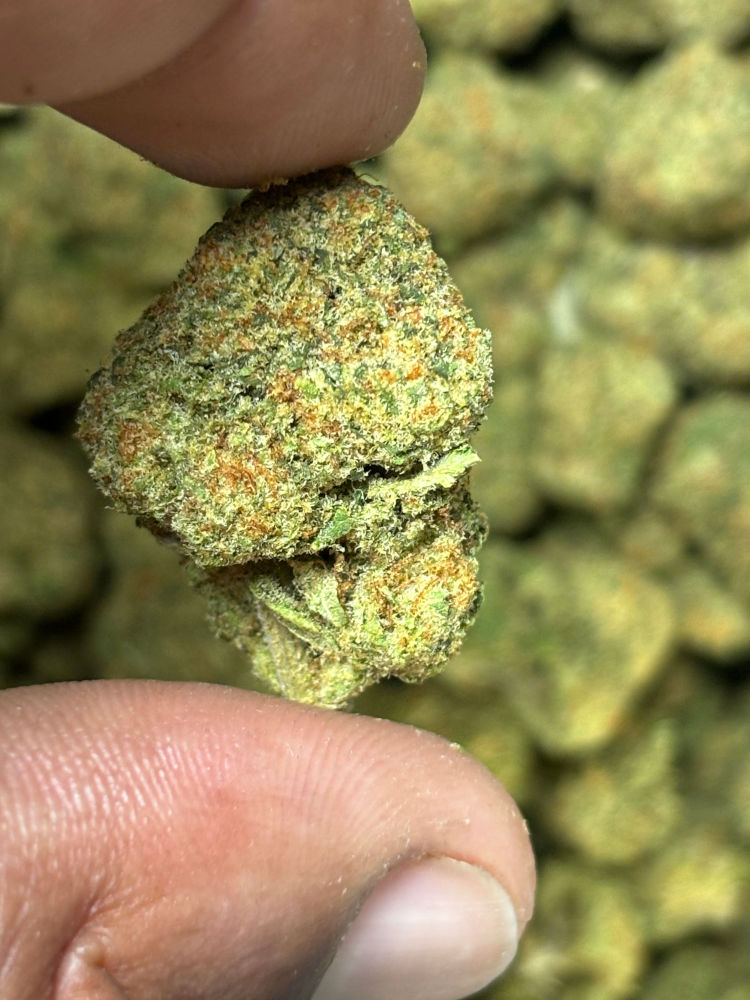 Illemonati 1g Bud