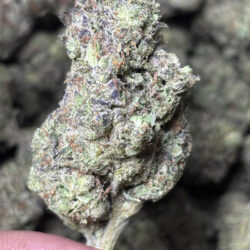 Jungle Cake THCA Flower Indica Dominant