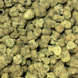 Illemonati THCA Flower Sativa Hybrid