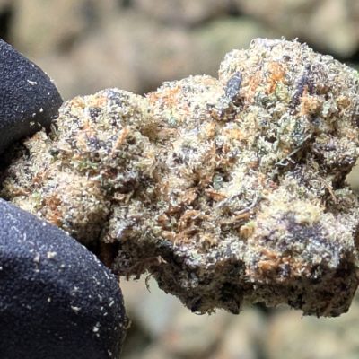 Buy High Potency Pink Certz THCA Flower at TWS