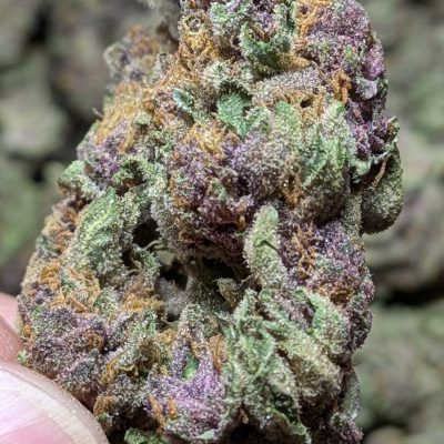 Tropicana Cookies THCA Flower Online